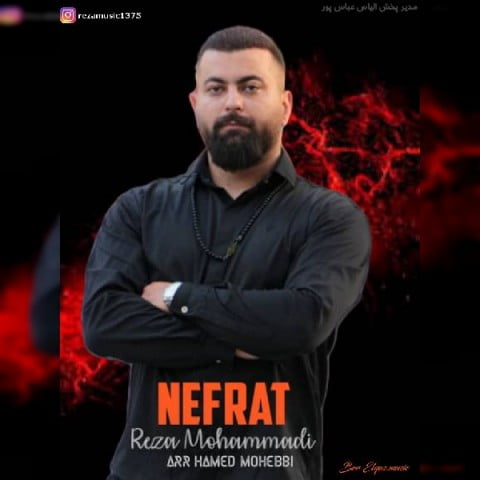 رضا محمدی نفرت